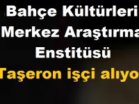 Atatürk Bahçe Kültürleri Merkez Araştırma Enstitüsü Taşeron işçi kamudan kariyer ilanı