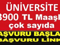 Mehmetbey Üniversitesi yeni işçi ve 13 personel alacak.
